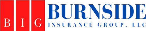Burnside Insurance Group LLC