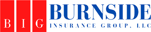 Burnside Insurance Group LLC